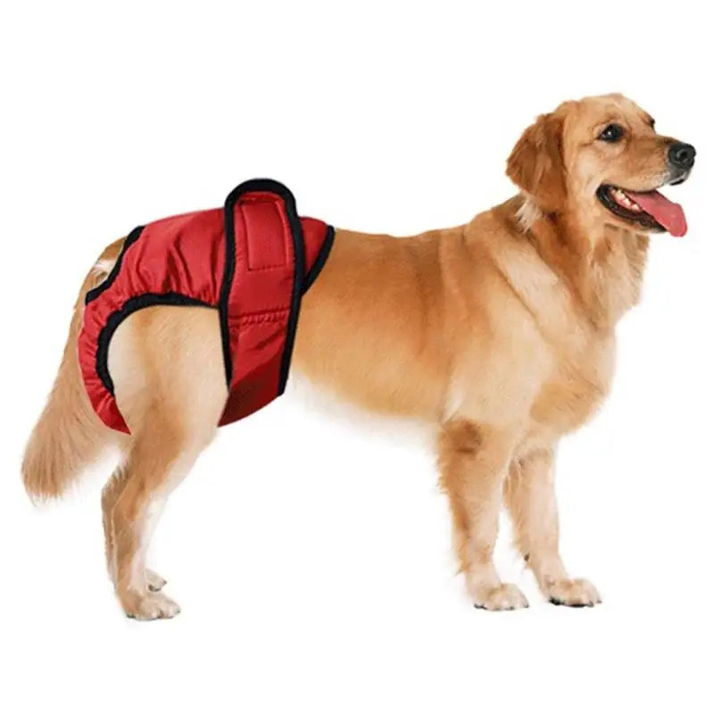 Pets Dog Physiological Pants Sanitary Diaper Female Dog Soft Menstruation Shorts for Dog Pet Product Washable Panties XS-XXL