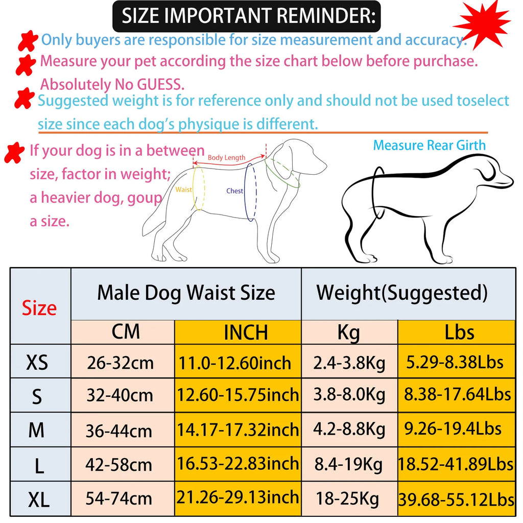 BIAI 1PC Durable Washable Male Dog Diaper Wraps Pet Boy Dog Cloth Nappies Reusable Pet Doggy Underwear Pants for Male Dog Leash